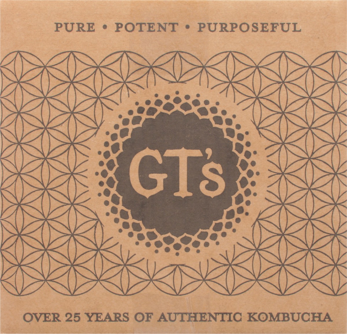 slide 9 of 12, Gt's Gingerade-Receiving Only!!, 20 liter