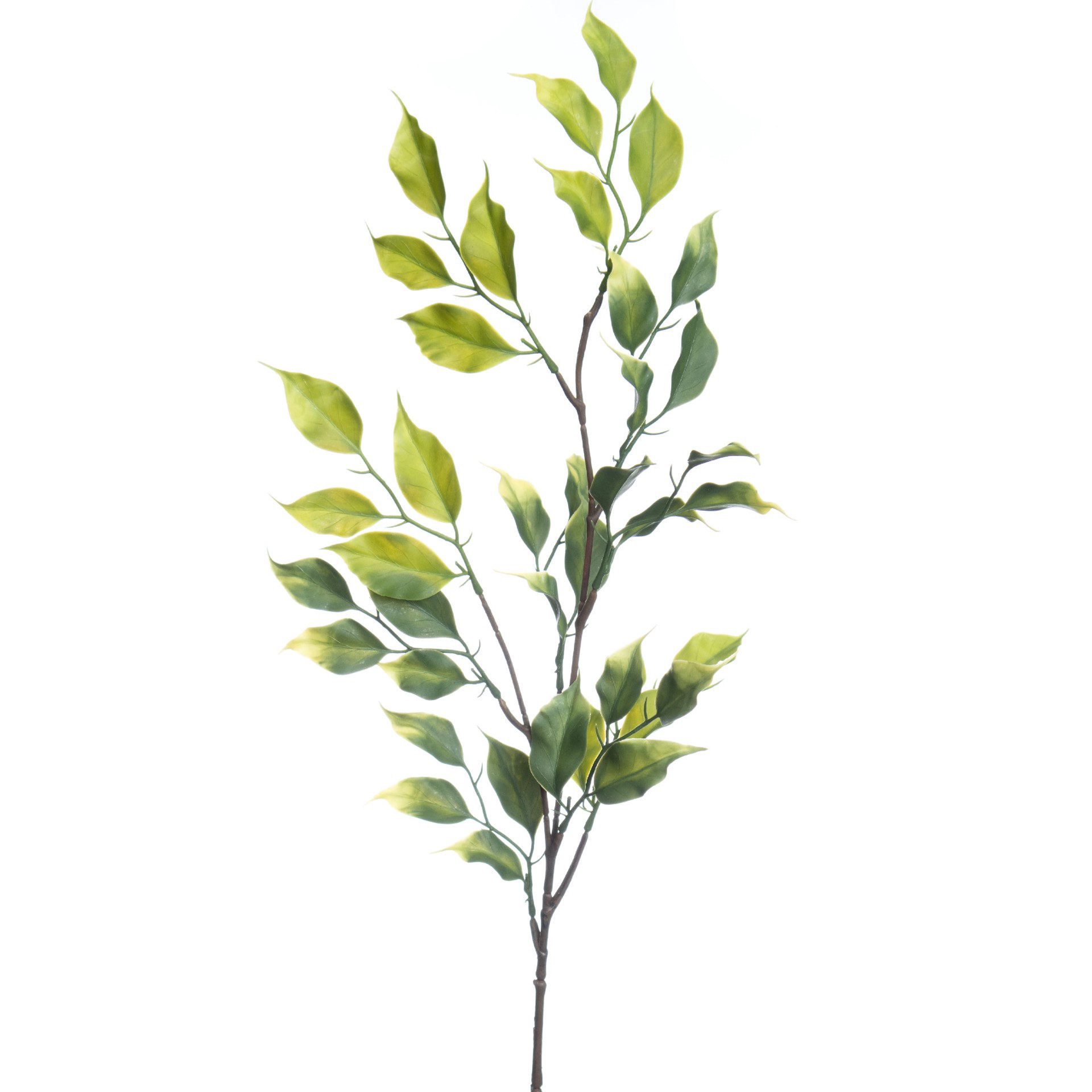 slide 2 of 3, 30" Green Ficus Stem By Ashland, 30 in