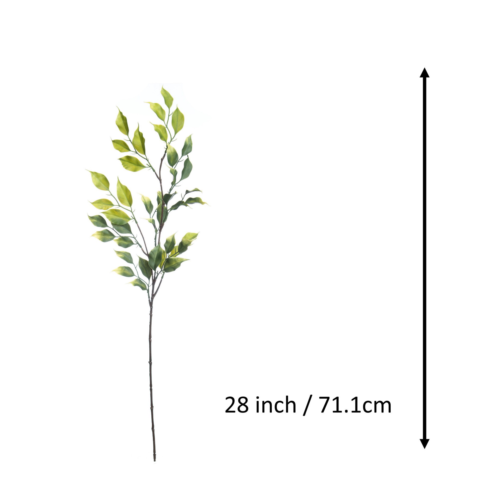 slide 3 of 3, 30" Green Ficus Stem By Ashland, 30 in