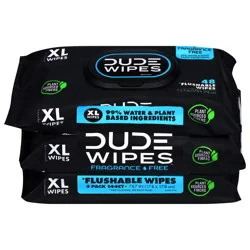 Dude Wipes Flushable Wipes, Medicated, Maximum Strength