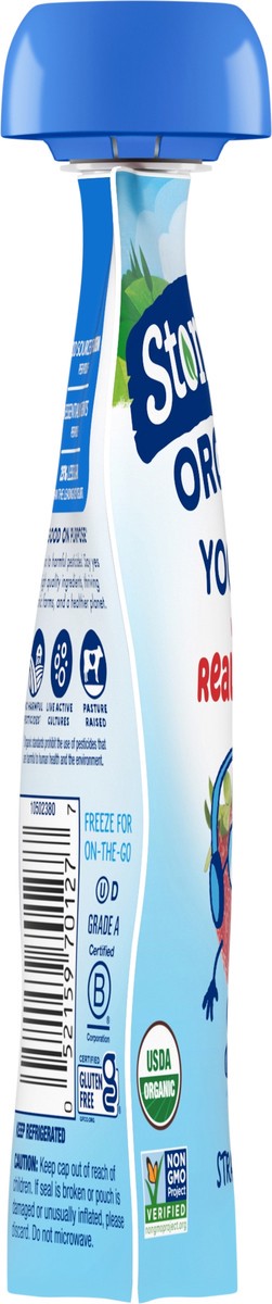 slide 5 of 11, Stonyfield Organic Reduced Fat Strawberry Yogurt with Real Fruit 3.5 oz, 3.5 oz