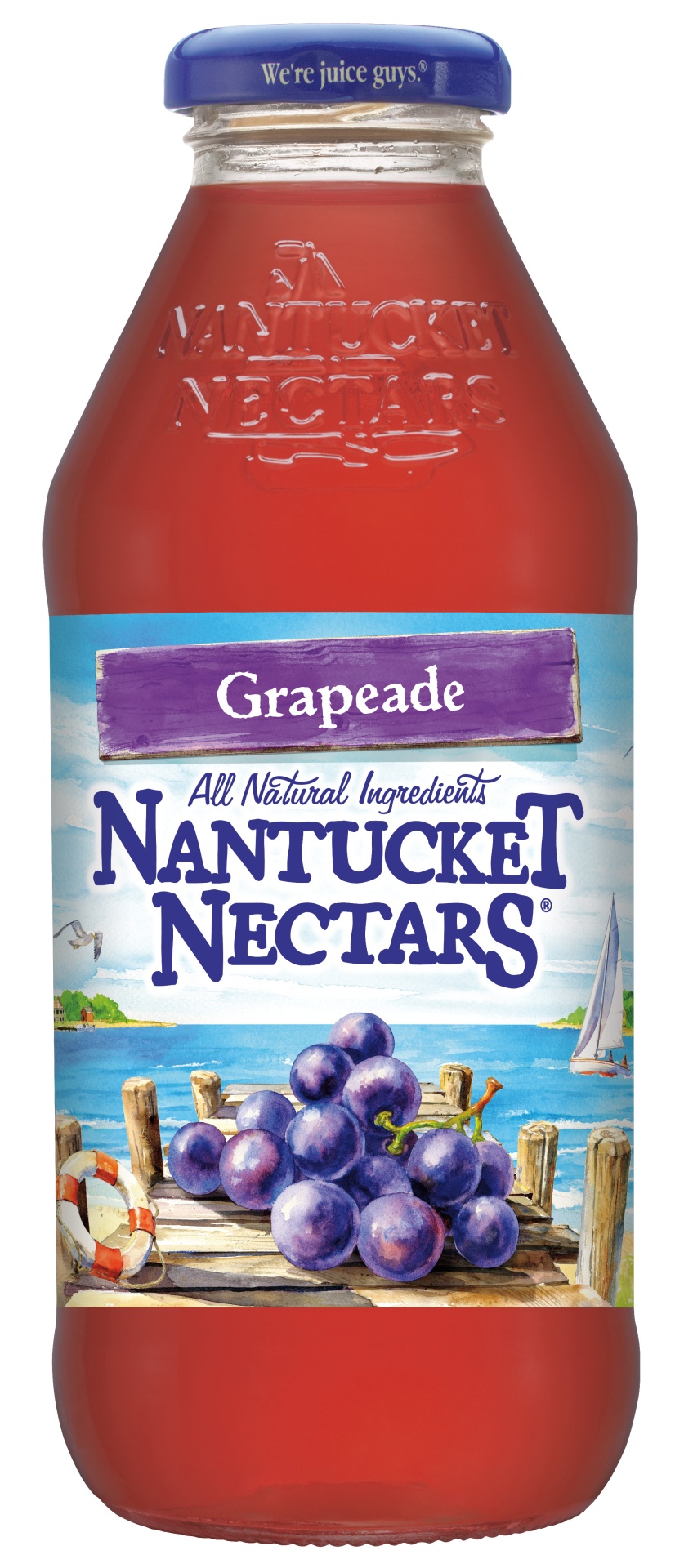 slide 1 of 2, Nantucket Nectars Grapeade, 16 fl oz