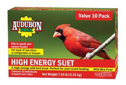 Audubon Park Suet 10 ea