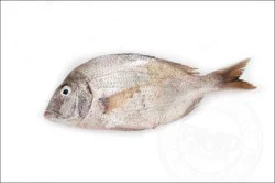 Fish-Whole Porgy