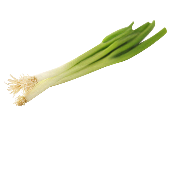 slide 1 of 1, Onion Green Scallion, 5.5 oz