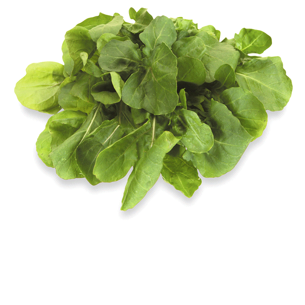 slide 1 of 1, Organic Arugula, Bunch, 1 ct