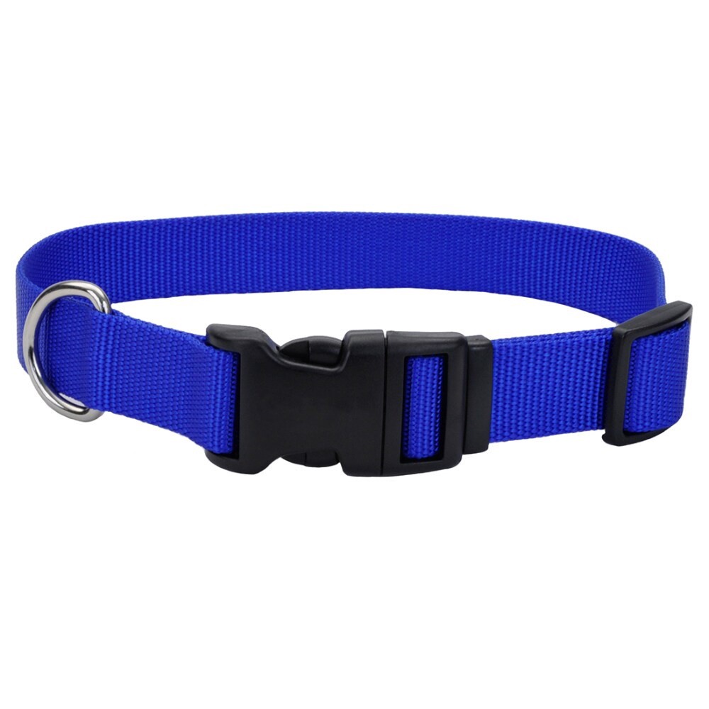 slide 4 of 4, Alliance Blue Large Dog Collar, 1 ct