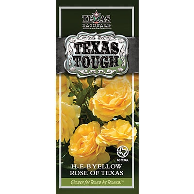 slide 1 of 1, H-E-B Texas Tough Yellow Rose Of Texas, 1 ct