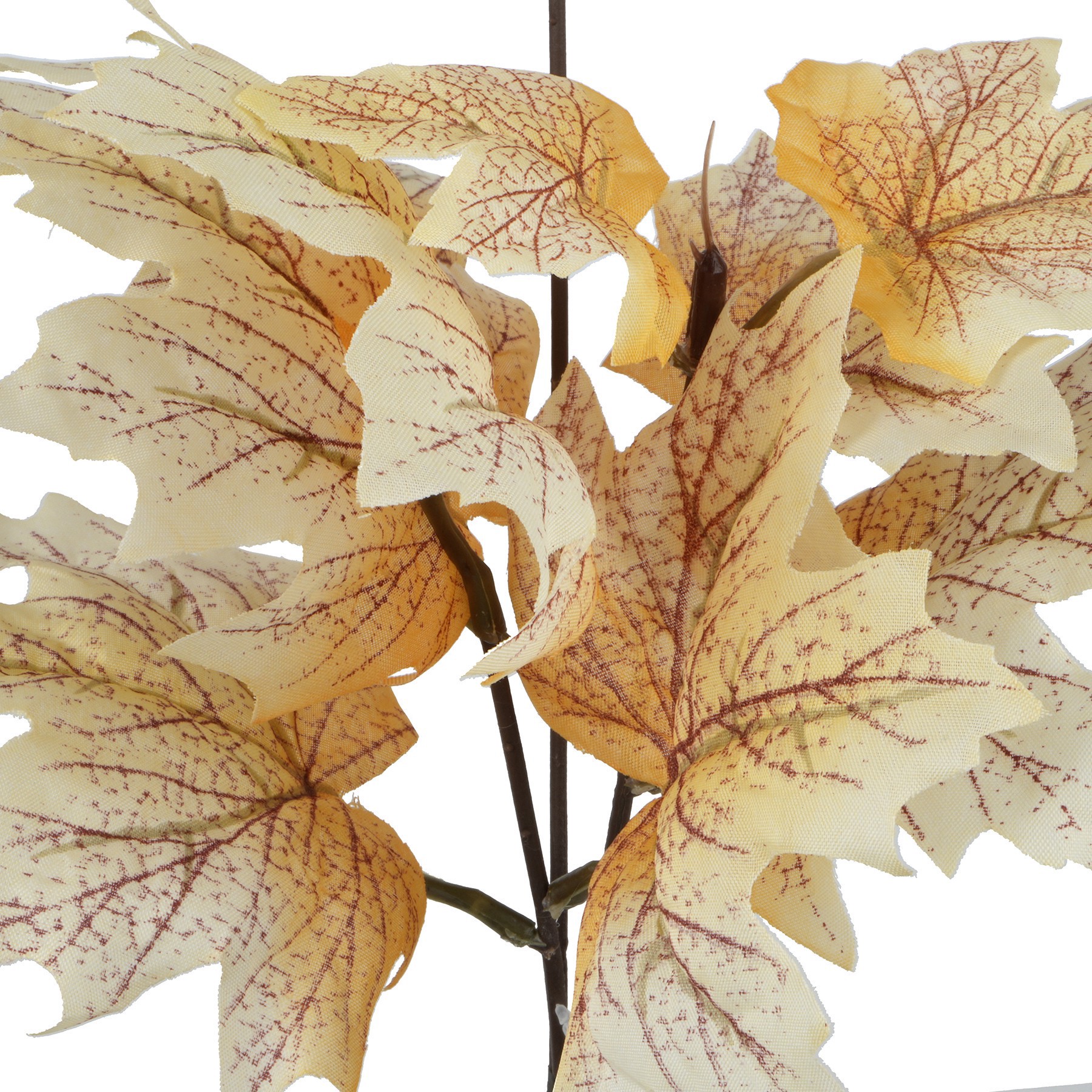 slide 2 of 2, 10.5" Mini Maple Leaf Bundle By Ashland, 10.5 in