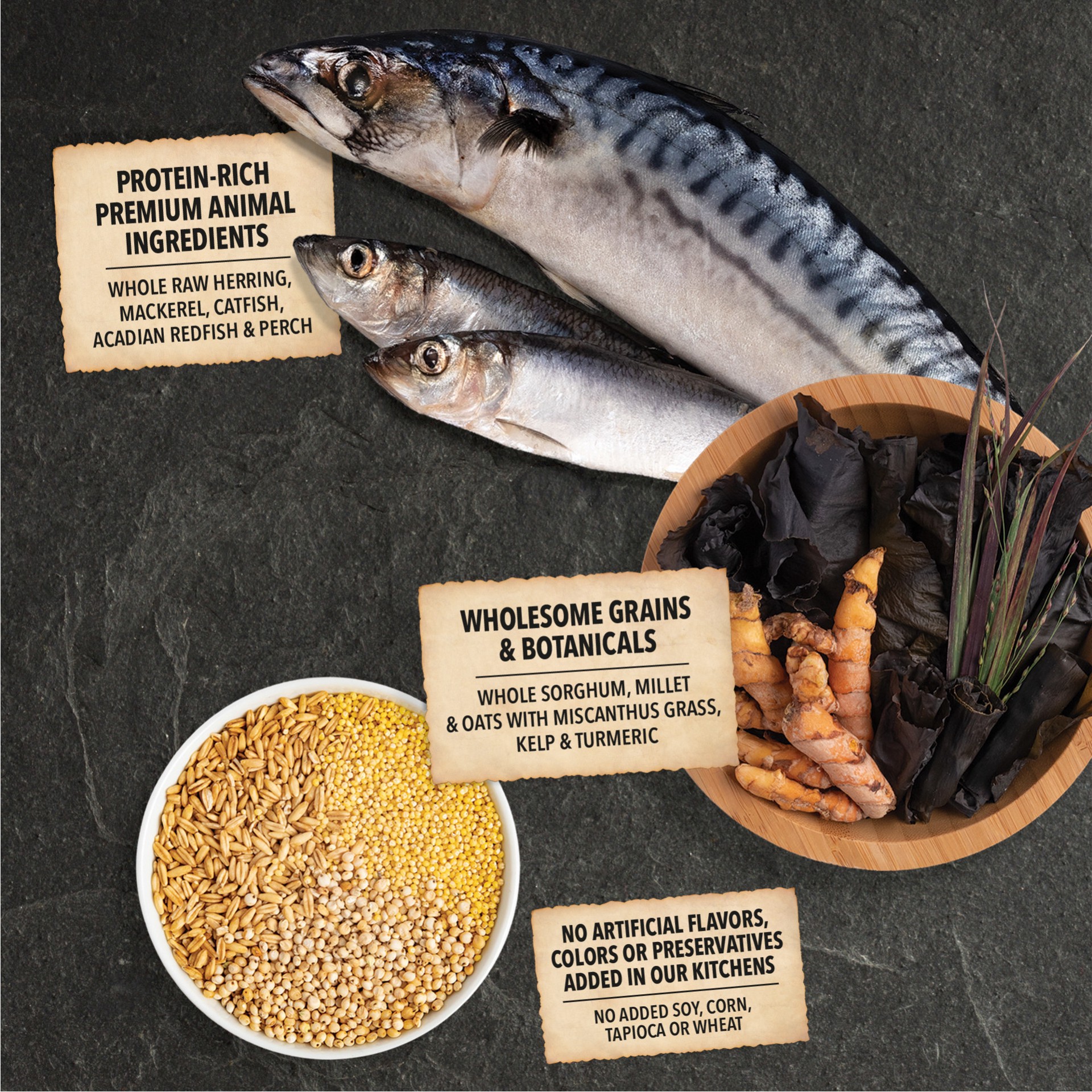 slide 2 of 3, ACANA Wholesome Grains Sea to Stream 4lb, 4 lb