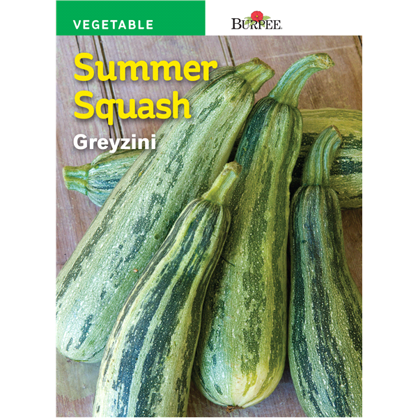 slide 1 of 1, Burpee Summer Squash Summer Greyzini Seeds, 1 ct