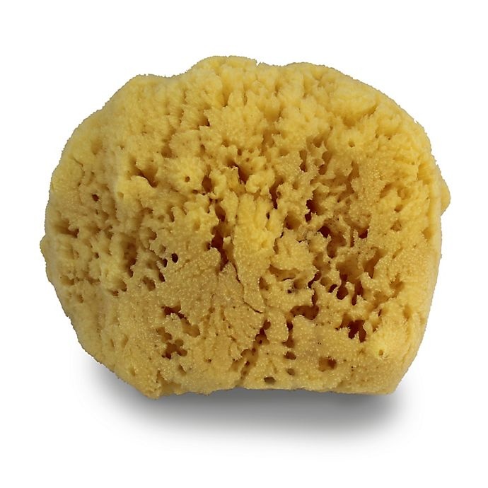 slide 1 of 1, Swissco Natural Sea Sponge, 1 ct