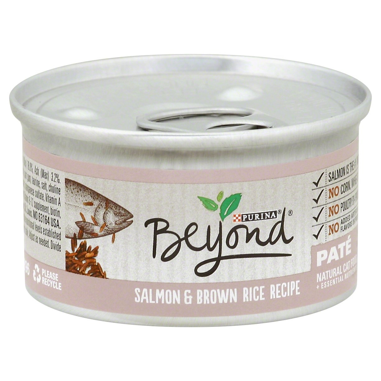 Beyond Salmon & Brown Rice Recipe Pate Cat Food 3 oz Shipt