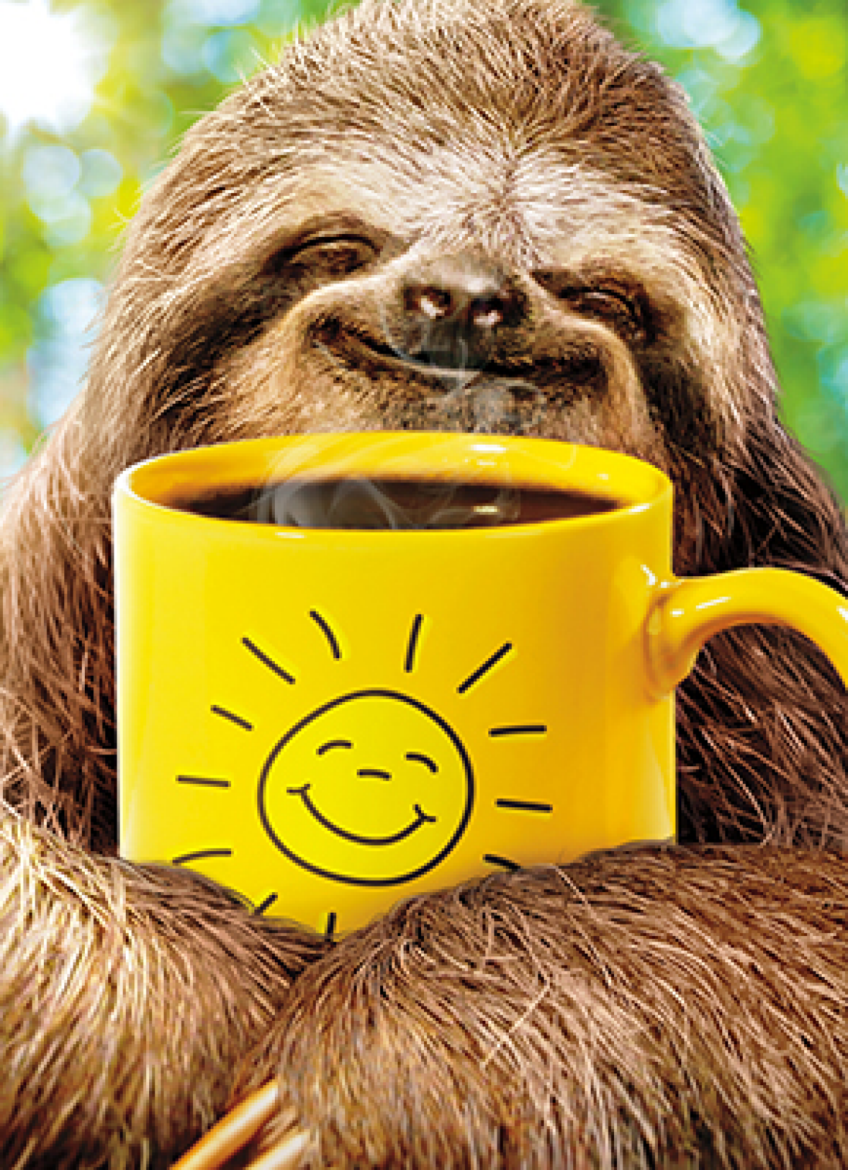 slide 1 of 1, Avanti Card Support Sloth With Coffee, 1 ct