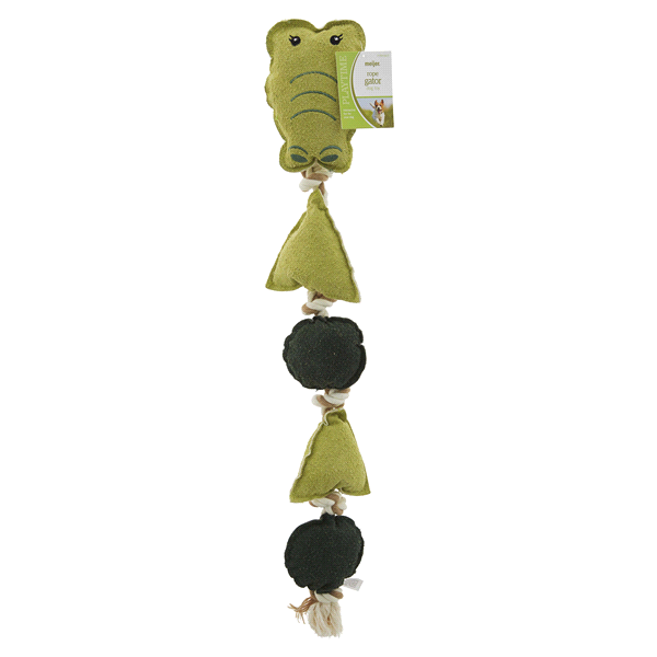 slide 1 of 1, Meijer Into The Wild 5-Stack Rope Gator Dog Toy, 1 ct