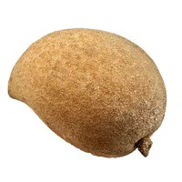 Mamey Sapote