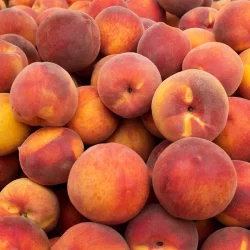Southern Peaches