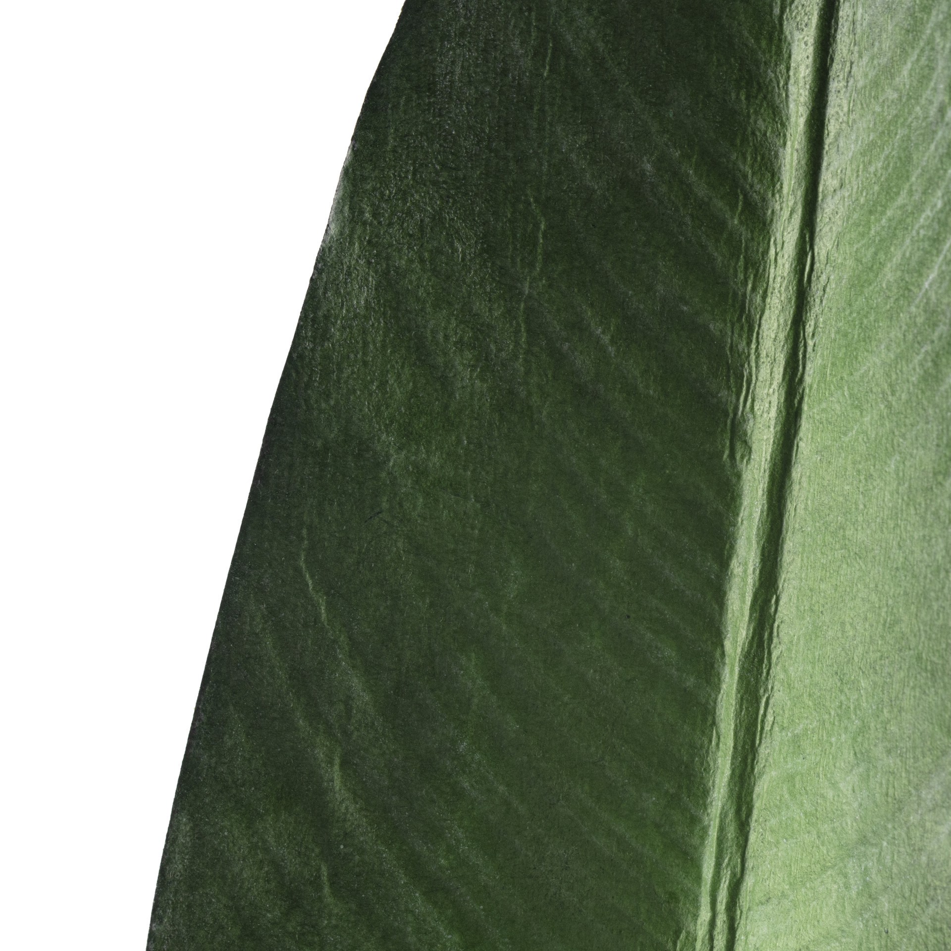 slide 2 of 3, Tropical Bird Of Paradise Leaf Spray By Ashland, 38 in