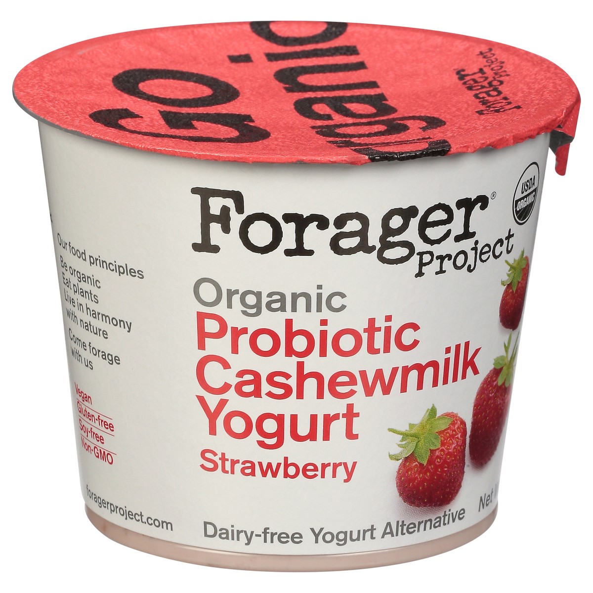 slide 6 of 9, Forager Project Dairy-Free Organic Probiotic Strawberry Cashewmilk Yogurt 5.3 oz, 5.3 oz