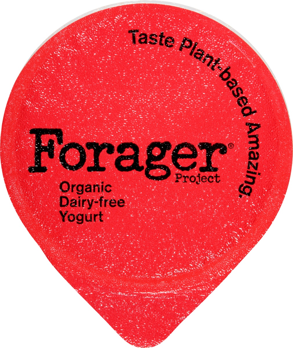 slide 6 of 10, Forager Project Cashewgurt Strawberry Dairy-Free, 5.3 oz