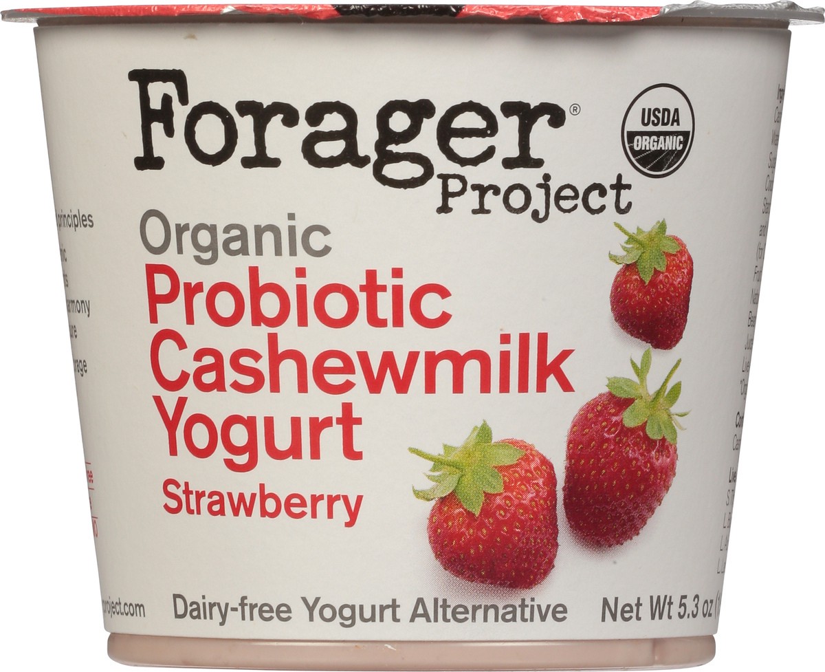 slide 7 of 9, Forager Project Dairy-Free Organic Probiotic Strawberry Cashewmilk Yogurt 5.3 oz, 5.3 oz