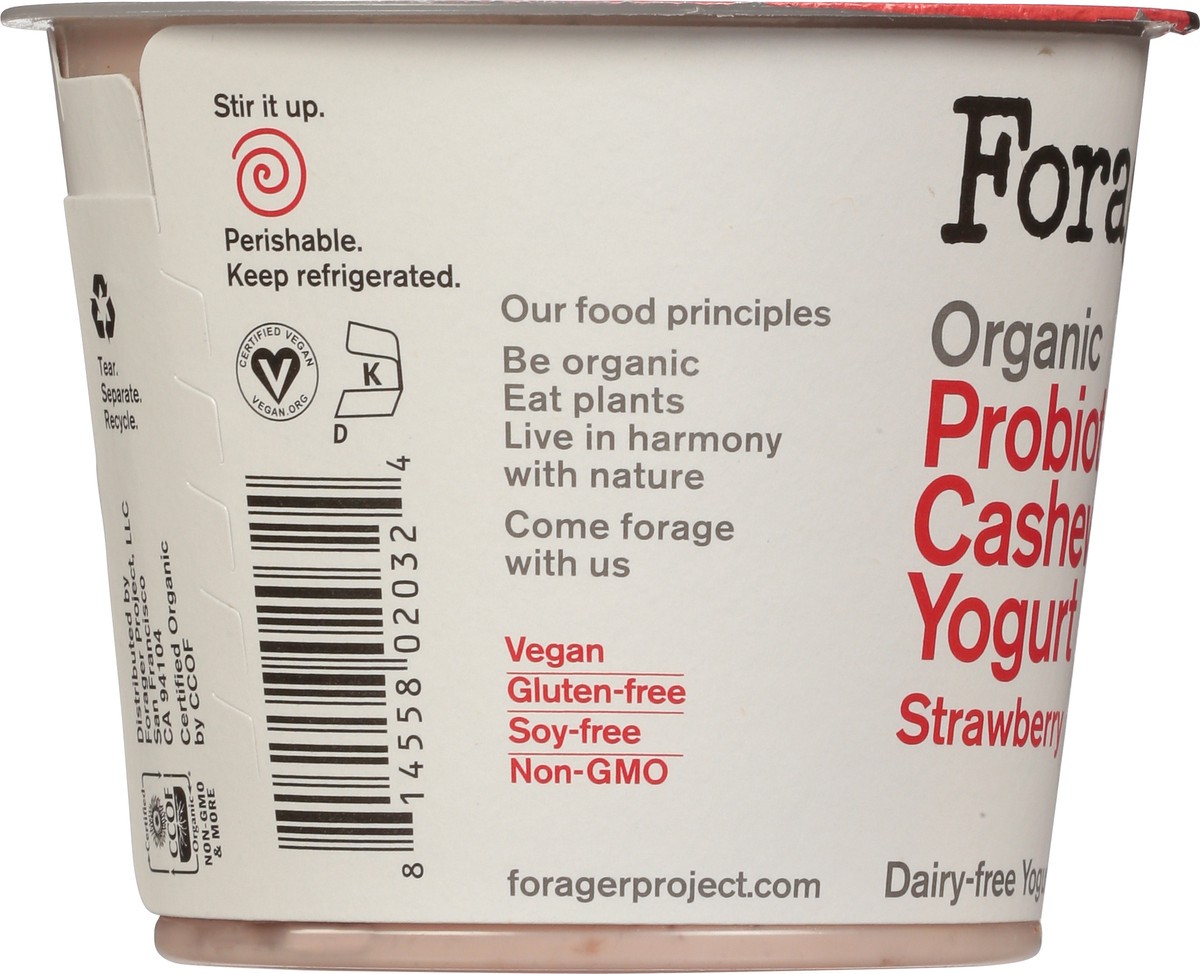 slide 2 of 9, Forager Project Dairy-Free Organic Probiotic Strawberry Cashewmilk Yogurt 5.3 oz, 5.3 oz