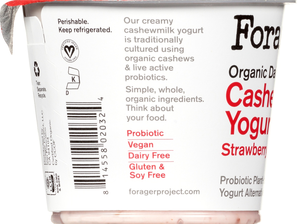 slide 7 of 10, Forager Project Cashewgurt Strawberry Dairy-Free, 5.3 oz