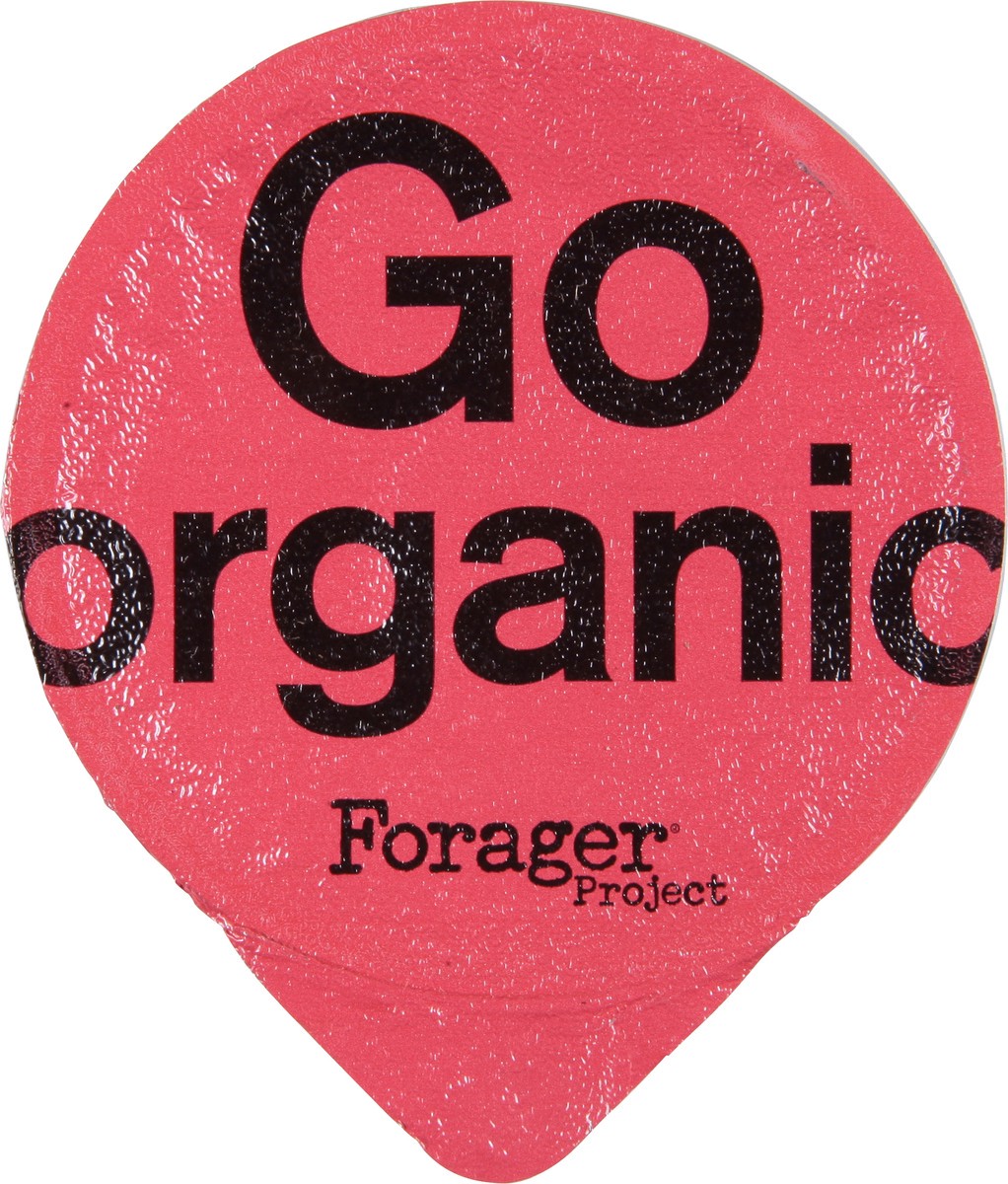 slide 8 of 9, Forager Project Dairy-Free Organic Probiotic Strawberry Cashewmilk Yogurt 5.3 oz, 5.3 oz