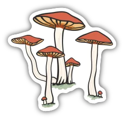 Stickers Northwest Mushroom Cluster Vinyl Sticker