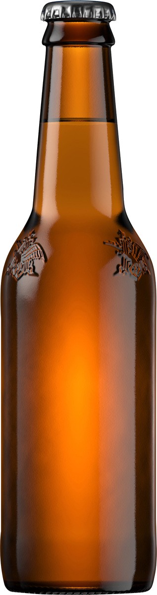 slide 5 of 6, Busch Light Beer 12 fl oz Bottle, 12 fl oz