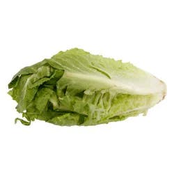 Pacific Jumbo Romaine Hearts