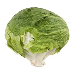 Iceberg Lettuce