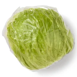 Iceberg Lettuce