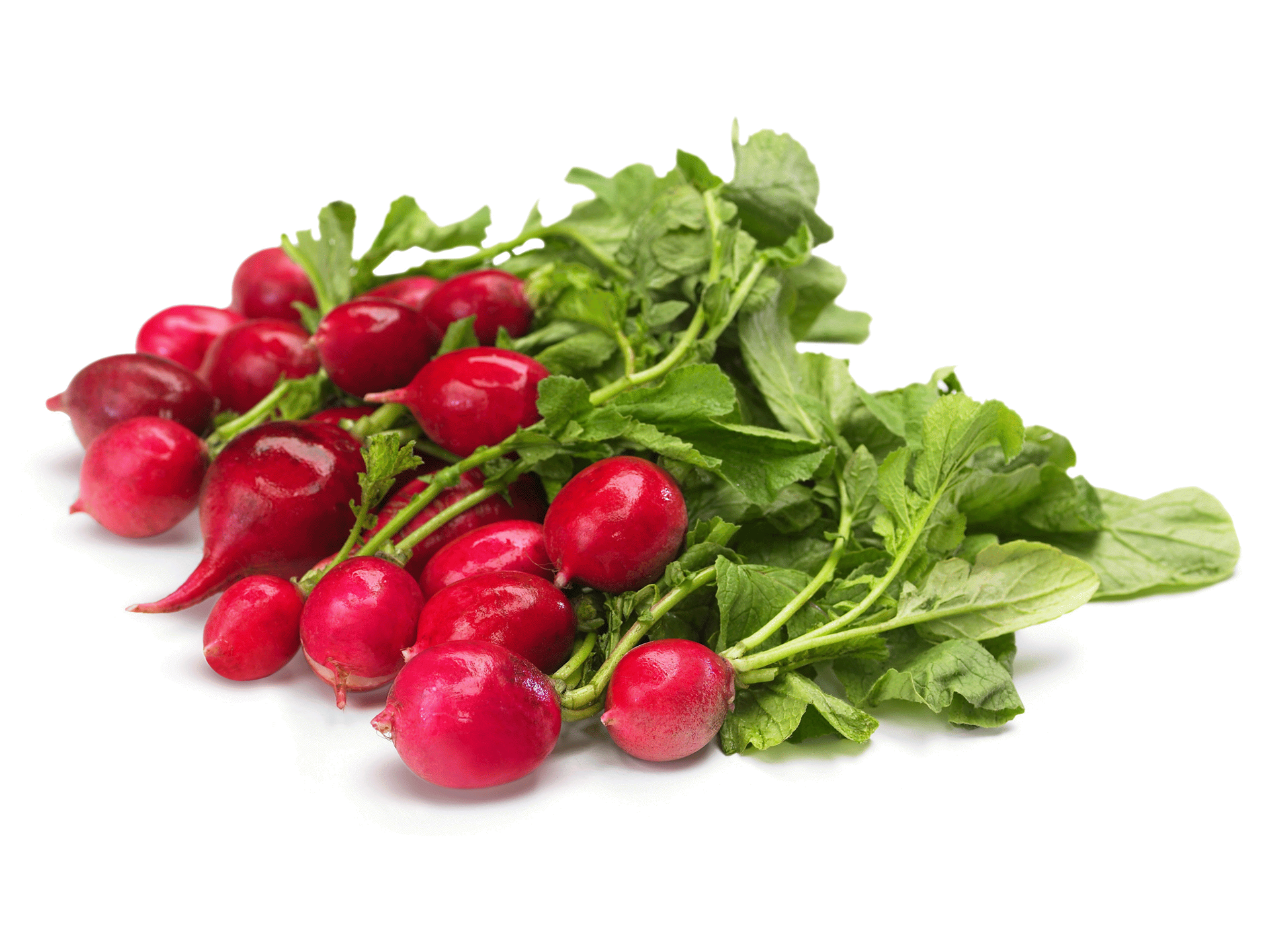 slide 1 of 1, Radishes Red Prepacked - 6 Oz, 6 oz