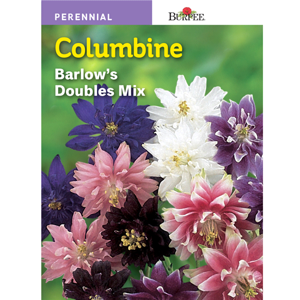 slide 1 of 1, Burpee Columbine Barlow Doubles Mix Seeds, 1 ct