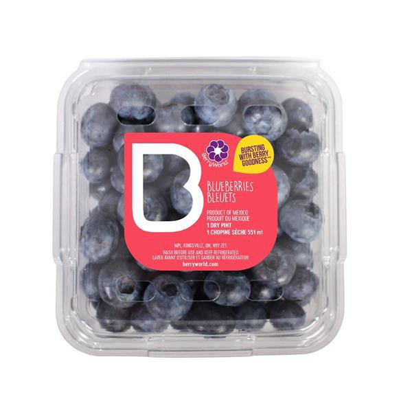 slide 1 of 1, Fresh Blueberries, 1 pint