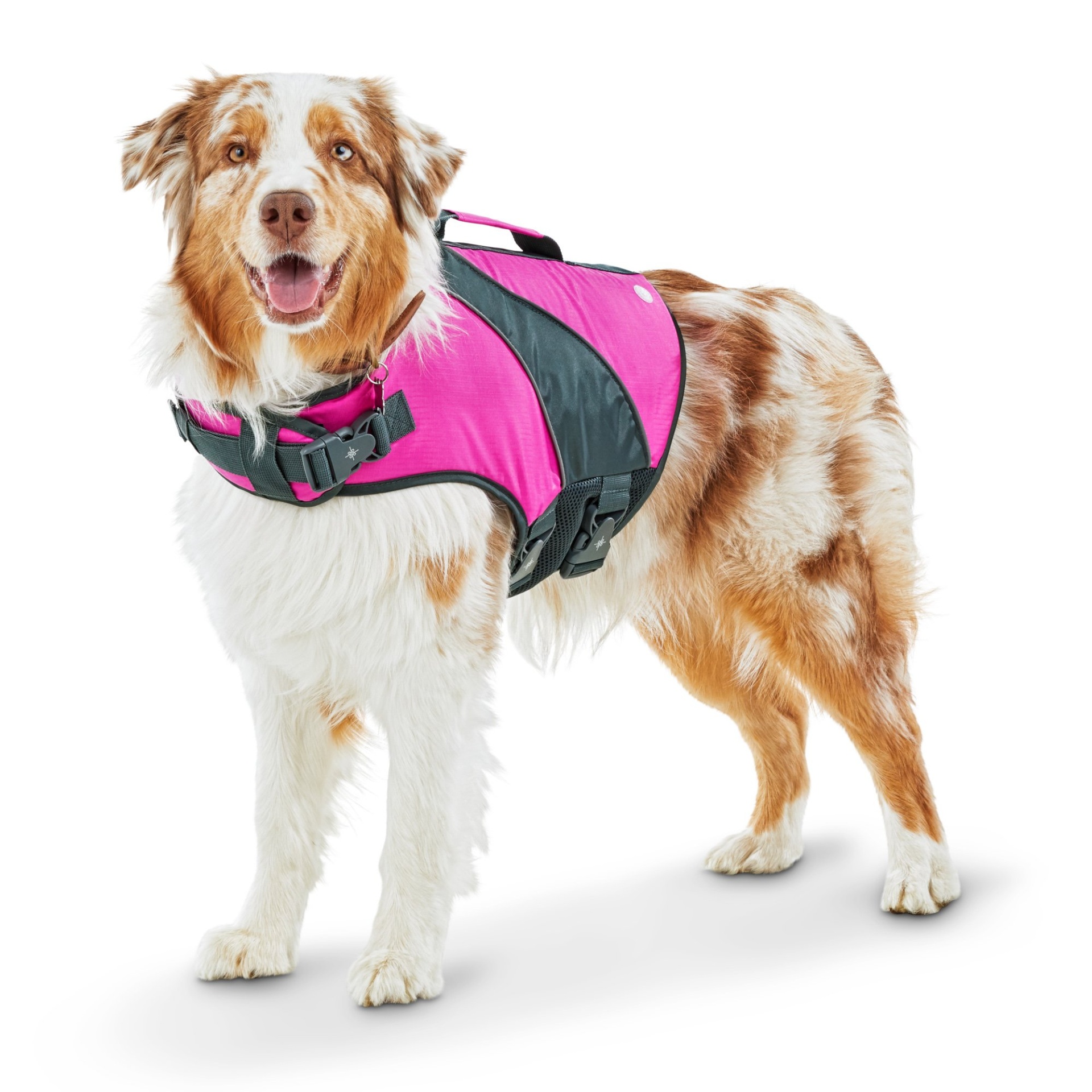 slide 1 of 1, Good2Go Pink Dog Flotation Vest, LG