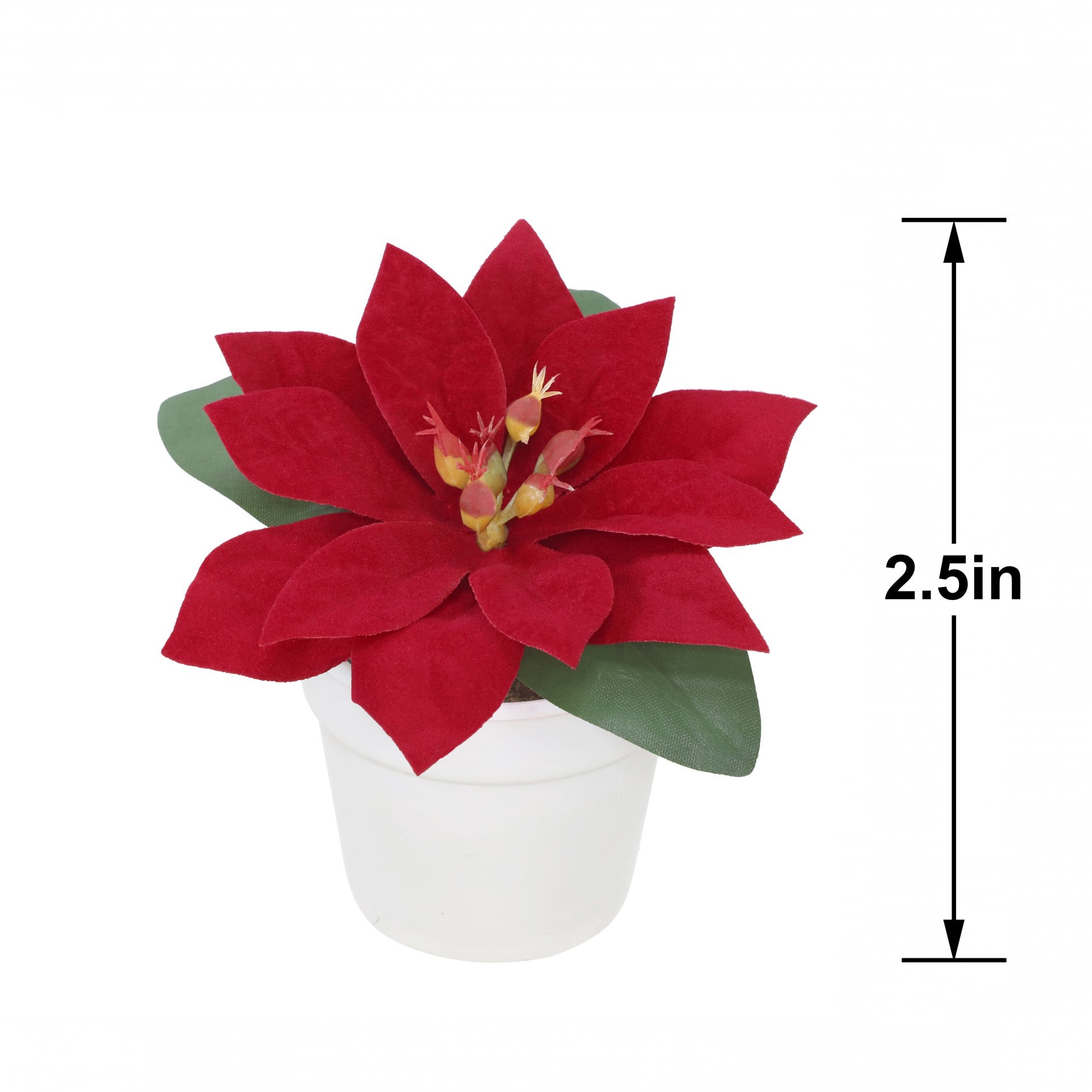 slide 3 of 3, 2.5" Premade Red Velvet Poinsettia In White Terracotta Pot By Ashland, 3.75 in x 3.75 in x 2.5 in