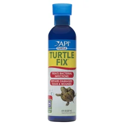 Api Turtle Fix