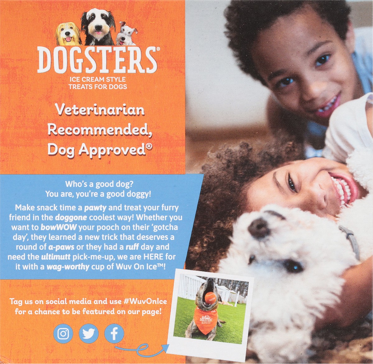 slide 10 of 13, Dogster's Ice Cream Style Nutly & Cheese Flavor Treats for Dogs 4 - 3.5 fl oz Cups, 4 ct