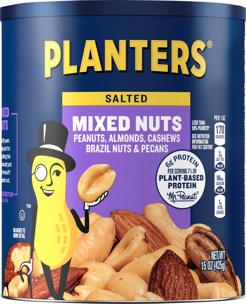 slide 1 of 1, Planters Salted Mixed Nuts - 15 oz, 15 oz