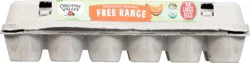 Organic Valley Free Range Brown Large Eggs, 12 ct