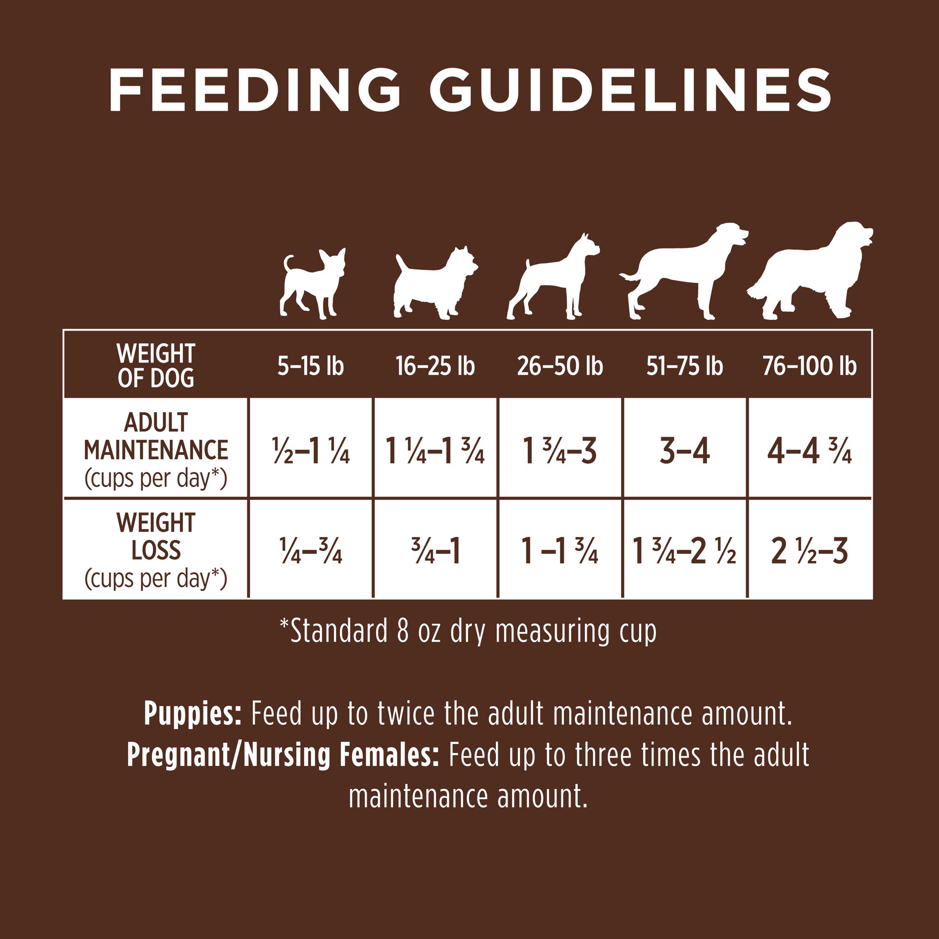 slide 4 of 9, Nature's Variety Instinct Be Natural Real Lamb & Oatmeal Recipe Natural Dry Dog Food, 4.5 lb