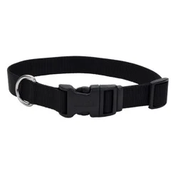 Coastal Adjustable Dog Collar with Plastic Buckle, Black, Medium - 1" x 14"-20"