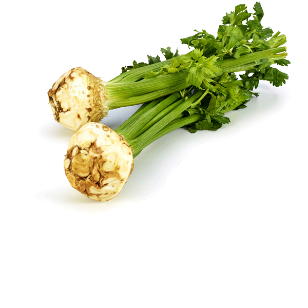 slide 1 of 1, Celery Root, Bunch, 1 ct