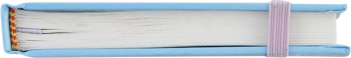 slide 5 of 9, Top Flight Journal Pastel, 1 ct