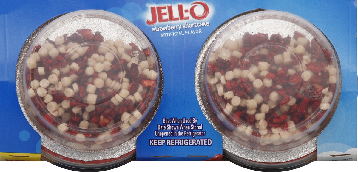 slide 2 of 4, Jell-O Pudding Snacks 6.7 oz, 6.7 oz