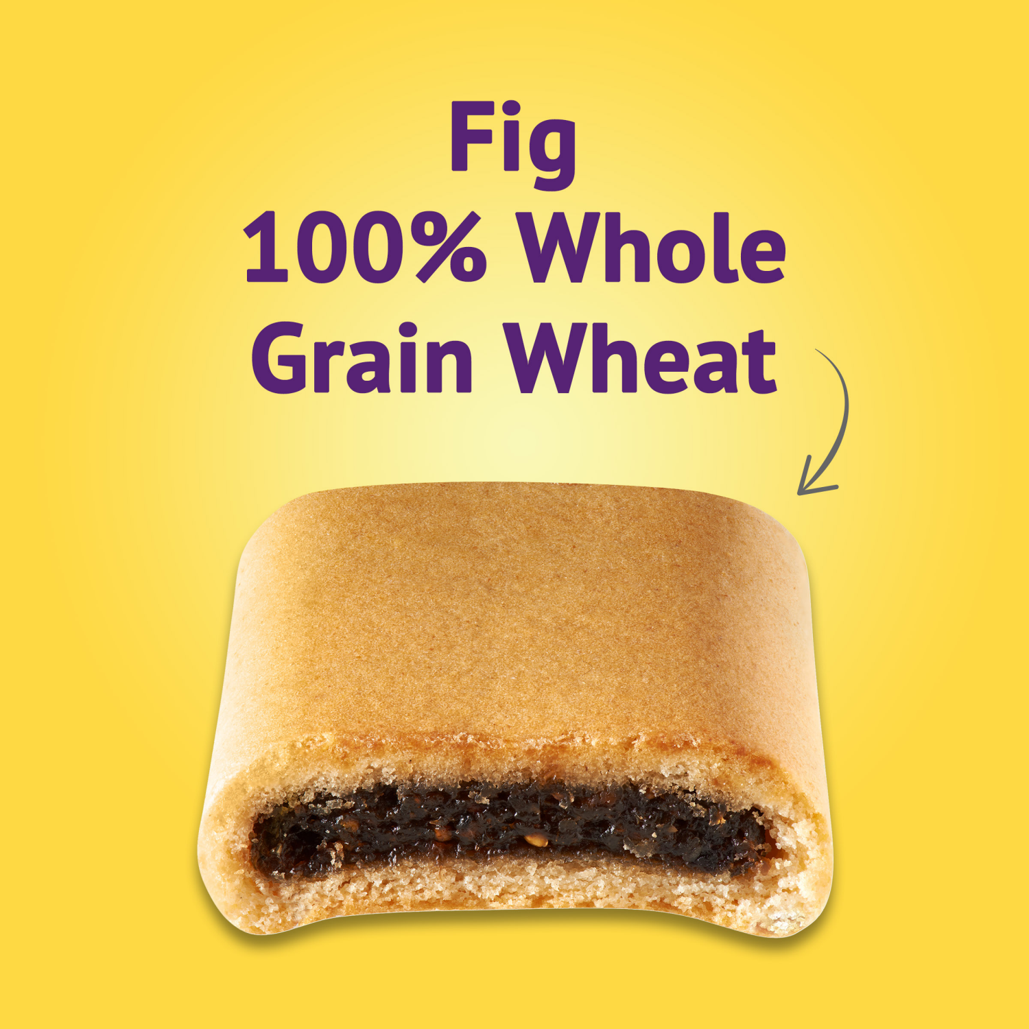 slide 4 of 5, Newtons 100% Whole Grain Wheat Soft & Fruit Chewy Fig Cookies, (Fig Bars), 10 oz Pack, 10 oz