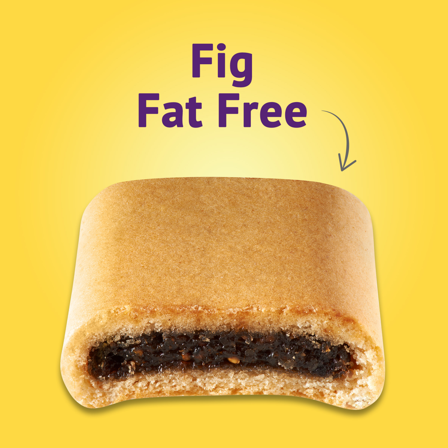 slide 4 of 5, Newtons Fat Free Soft & Fruit Chewy Fig Cookies, (Fig Bars), 10 oz, 10 oz
