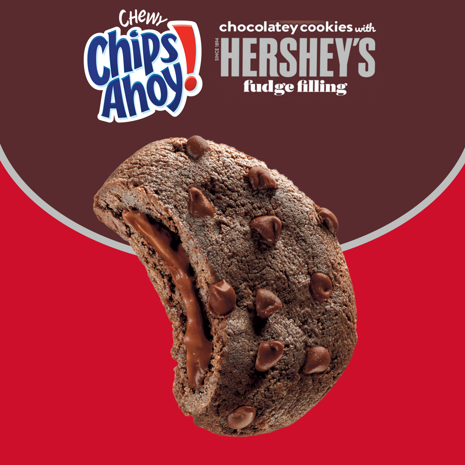 slide 4 of 5, CHIPS AHOY! Chewy Chocolatey Hershey's Fudge Filled Soft Chocolate Chip Cookies, Chocolate Cookies, Family Size, 14.85 oz, 14.85 oz